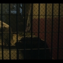 Filename=The_Serpent_8_0396.jpg
Filesize=104KiB
Dimensions=1920x1080
Date added=Mar 06, 2021 The_Serpent_8_0396.jpg