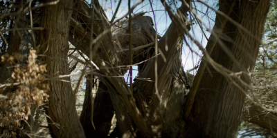 EP40902.png