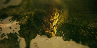 Intro_The_Serpent_023.jpg