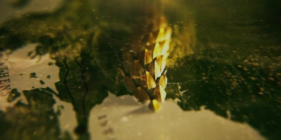 Intro_The_Serpent_024.jpg