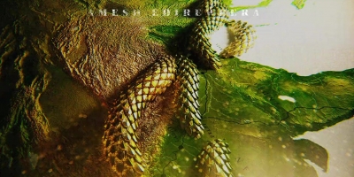 Intro_The_Serpent_043.jpg