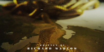 Intro_The_Serpent_081.jpg