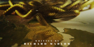 Intro_The_Serpent_082.jpg