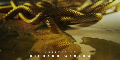 Intro_The_Serpent_083.jpg