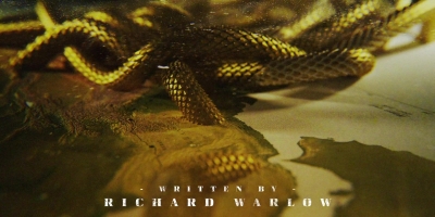 Intro_The_Serpent_084.jpg