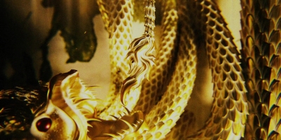 Intro_The_Serpent_096.jpg