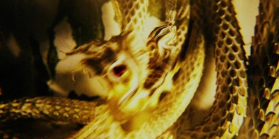Intro_The_Serpent_097.jpg