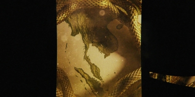 Intro_The_Serpent_104.jpg