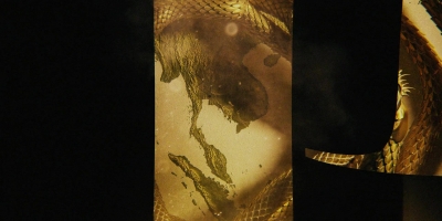 Intro_The_Serpent_105.jpg