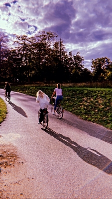 JCBR-1_28107529.jpg
