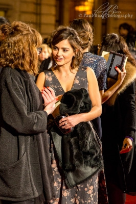 JCBR01_28246529.jpg