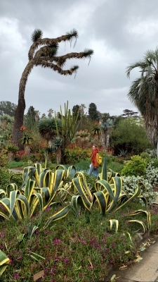 JCBR02_2811329.jpg