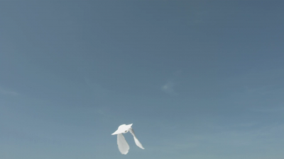 JCBR_ASOU_2998.png
