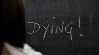 LC1382.png