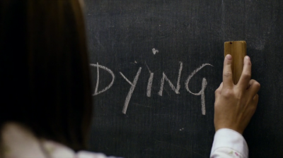 LC1393.png