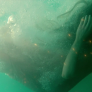 Filename=EP40628.png
Filesize=915KiB
Dimensions=1280x640
Date added=Oct 23, 2018 EP40628.png