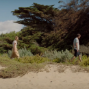 Filename=EP40851.png
Filesize=1420KiB
Dimensions=1280x640
Date added=Oct 23, 2018 EP40851.png