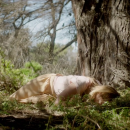 Filename=EP40950.png
Filesize=1937KiB
Dimensions=1280x640
Date added=Oct 23, 2018 EP40950.png