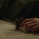 EP41541.png