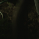 EP_32296.png