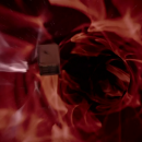 Filename=H3157.png
Filesize=871KiB
Dimensions=1280x720
Date added=Jul 29, 2018 H3157.png