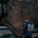 Filename=ITFOTN0049.png
Filesize=2117KiB
Dimensions=1912x1072
Date added=Nov 11, 2018 ITFOTN0049.png