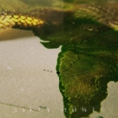 Intro_The_Serpent_033.jpg