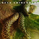 Intro_The_Serpent_044.jpg