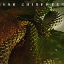 Intro_The_Serpent_049.jpg