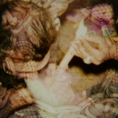 Intro_The_Serpent_062.jpg