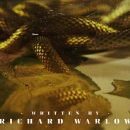 Intro_The_Serpent_083.jpg