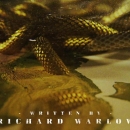 Intro_The_Serpent_084.jpg