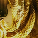 Intro_The_Serpent_094.jpg
