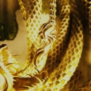 Intro_The_Serpent_095.jpg