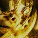 Intro_The_Serpent_097.jpg