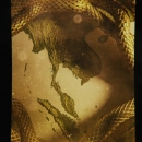 Intro_The_Serpent_104.jpg