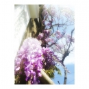 Filename=JCBR01_28294829.jpg
Filesize=106KiB
Dimensions=750x750
Date added=Feb 02, 2019 JCBR01_28294829.jpg