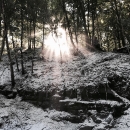Filename=JCBR01_28313129.jpg
Filesize=446KiB
Dimensions=1080x1350
Date added=Feb 02, 2019 JCBR01_28313129.jpg