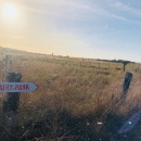 JCBR01_28325529.jpg