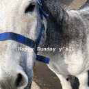 Filename=JCBR01_28349029.PNG
Filesize=2411KiB
Dimensions=750x1334
Date added=Feb 03, 2019 JCBR01_28349029.PNG