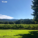 Filename=JCBR01_28349329.PNG
Filesize=896KiB
Dimensions=750x1334
Date added=Feb 03, 2019 JCBR01_28349329.PNG
