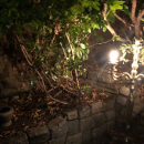 Filename=JCBR01_28350229.PNG
Filesize=1971KiB
Dimensions=750x1334
Date added=Feb 03, 2019 JCBR01_28350229.PNG
