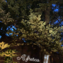Filename=JCBR01_28350329.PNG
Filesize=2057KiB
Dimensions=750x1334
Date added=Feb 03, 2019 JCBR01_28350329.PNG