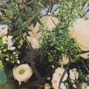 Filename=JCBR01_28360829.PNG
Filesize=2280KiB
Dimensions=750x1334
Date added=Feb 03, 2019 JCBR01_28360829.PNG