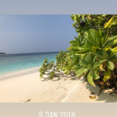 Filename=JCBR01_28363329.PNG
Filesize=803KiB
Dimensions=750x1334
Date added=Feb 03, 2019 JCBR01_28363329.PNG