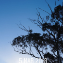 Filename=JCBR01_28364529.PNG
Filesize=1176KiB
Dimensions=750x1334
Date added=Feb 03, 2019 JCBR01_28364529.PNG