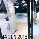Filename=JCBR01_28367029.PNG
Filesize=1530KiB
Dimensions=750x1334
Date added=Feb 03, 2019 JCBR01_28367029.PNG