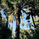 Filename=JCBR01_28370929.PNG
Filesize=2413KiB
Dimensions=750x1334
Date added=Feb 03, 2019 JCBR01_28370929.PNG