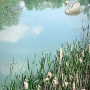 Filename=JCBR01_28894129.jpg
Filesize=504KiB
Dimensions=1024x1820
Date added=May 20, 2019 JCBR01_28894129.jpg