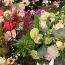 Filename=JCBR02_2890929.jpg
Filesize=221KiB
Dimensions=1024x1820
Date added=Apr 25, 2019 JCBR02_2890929.jpg